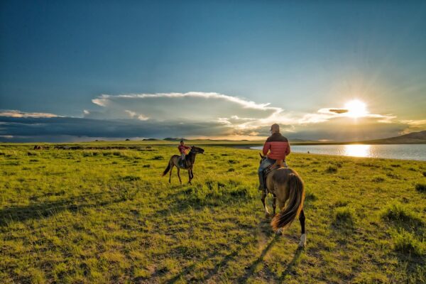 Mongolian herders
