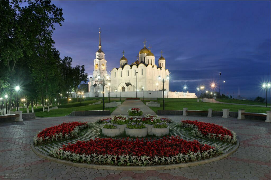 Vladimir