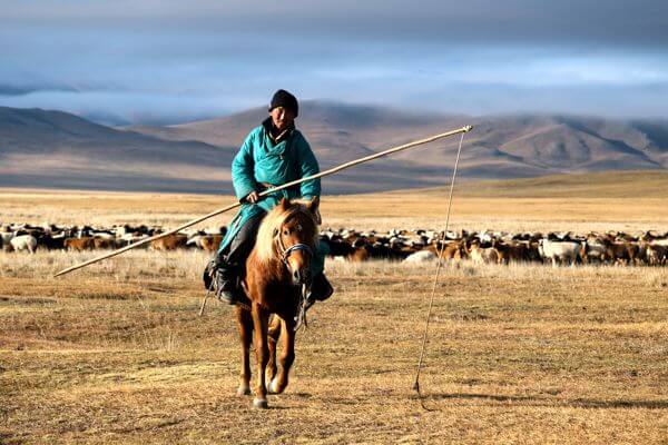 Horseman